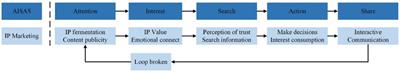 Exploring how IP marketing (media marketing) influences consumer shopping psychology through quantitative and empirical analysis